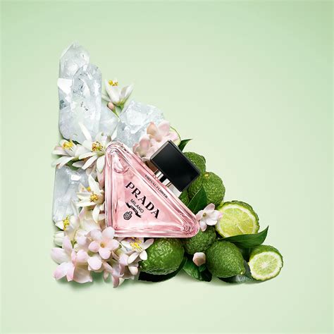 prada virtual flower dupe|prada flower bottle.